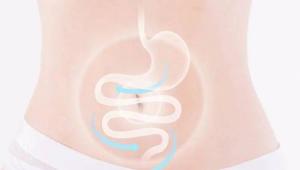 给力的Bifidobacterium lactis TCI 604益生菌，舒缓发炎、降低肠胃道不适