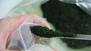 拟微球藻进入食品市场，将实现EPA应用无边界