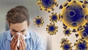 病毒大流行的时代，健康的肠道菌群是我们自我保护的关键