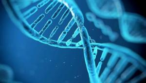 合成生物学行业研究报告