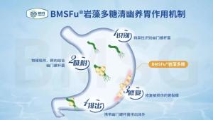 安全清除幽门螺杆菌，优选明月BMSFu®岩藻多糖！