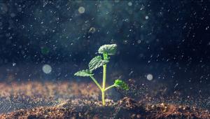 启示2023：中国植物提取物行业投融资及兼并重组分析