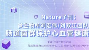 一图读懂 | Nature子刊：微生物所刘宏伟/刘双江团队揭示肠道菌群保护心血管健康新机制
