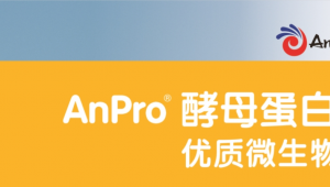 应对人类蛋白缺口问题，AnPro做“酵母蛋白”赛道的突围者