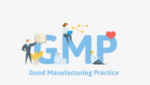 企业可以申请哪些NSF GMP认证？ 一文让您了解清楚！
