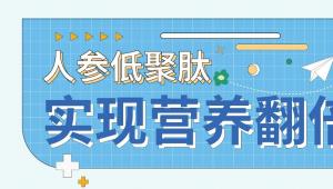 一图读懂 | 人参低聚肽如何实现营养翻倍？