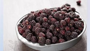 BerriQi®波森莓复合浓缩果汁针对肺部健康的科研成果