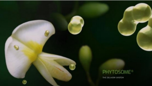 全球瞩目，INDENA的Phytosome®技术加码植物原料创新