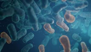 看“谷胱甘肽增强剂”发酵粘液乳杆菌ME-3，如何帮助身体构建益生菌-抗氧化体系