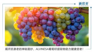 揭开抗衰老的神秘面纱，ALVINESA葡萄籽提取物助力健康变老！