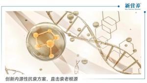 创新内源性抗衰方案，直击衰老根源