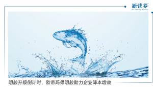 明胶升级倒计时，欧帝玛骨明胶助力企业降本增效