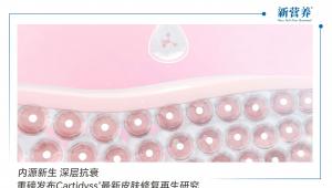 内源新生 深层抗衰 | 重磅发布Cartidyss®最新皮肤修复再生研究
