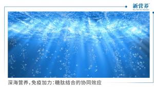 深海营养，免疫加力：糖肽结合的协同效应