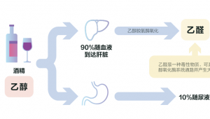 天然植物成分引领解酒护肝市场