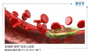 胆固醇“越界”危及心血管，植物乳植杆菌LP LDL怎么“破”？