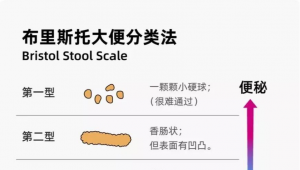 摆脱“不便”人生，微量元素“铜”成为破解秘钥？