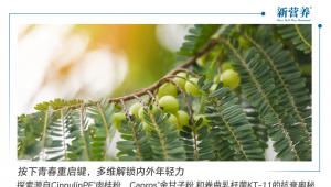 按下青春重启键，多维解锁内外年轻力—探索源自CinnulinPF®肉桂粉、Capros®余甘子粉和卷曲乳杆菌KT-11的抗衰奥秘