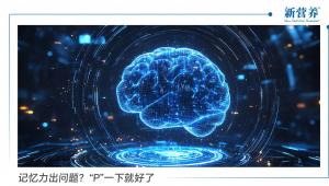 记忆力出问题？“P”一下就好了