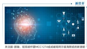 关注脑-肠轴，短双歧杆菌MCC1274或成破局阿尔兹海默症的新潜能