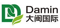 大闽国际