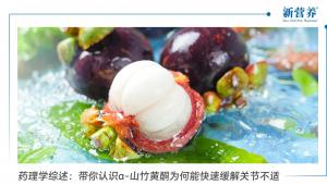 药理学综述：带你认识α-山竹黄酮为何能快速缓解关节不适