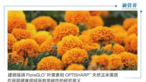 建明强调FloraGLO®叶黄素和OPTISHARP™ 天然玉米黄质在母婴健康领域具有突破性的研究意义