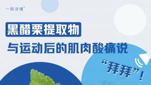 一图读懂 | 黑醋栗提取物，与运动后的肌肉酸痛说“拜拜”！