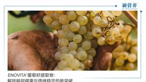 ENOVITA®葡萄籽提取物：解锁脑部健康与情绪稳定的新突破