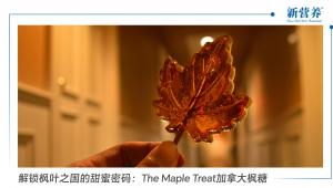 解锁枫叶之国的甜蜜密码：The Maple Treat加拿大枫糖