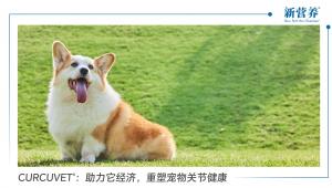 CURCUVET®：助力它经济，重塑宠物关节健康