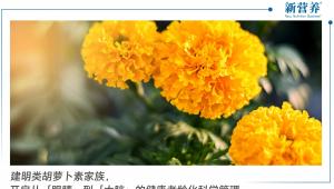 建明类胡萝卜素家族，开启从「眼睛」到「大脑」的健康老龄化科学管理