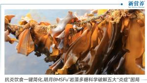 抗炎饮食一键简化，明月BMSFu®岩藻多糖科学破解五大“炎症”困局