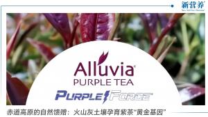 赤道高原的自然馈赠：火山灰土壤孕育紫茶“黄金基因”