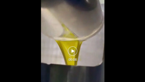 落子东非！晟麦牛油果油肯尼亚生产基地正式投产