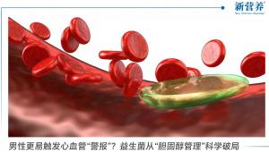 男性更易触发心血管“警报”？益生菌从“胆固醇管理”科学破局