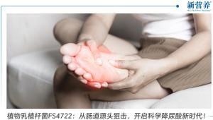 植物乳植杆菌FS4722：从肠道源头狙击，开启科学降尿酸新时代！