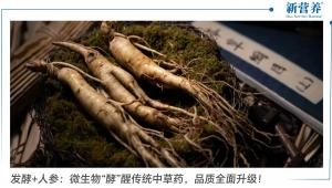 发酵+人参：微生物“酵”醒传统中草药，品质全面升级！