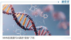 NMN在美国FDA真的“获批”了吗？