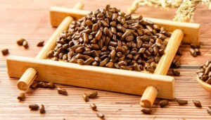 食药物质决明子，如何撬动庞大的健康饮品市场？