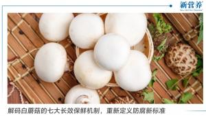 解码白蘑菇的七大长效保鲜机制，重新定义防腐新标准