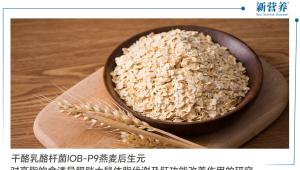 干酪乳酪杆菌IOB-P9燕麦后生元对高脂饮食诱导肥胖大鼠体脂代谢及肝功能支持的研究