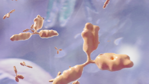 睡眠与免疫“互作”，建明天然成分如何解锁双重健康密码？