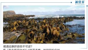 喝酒应酬肝损伤不可逆？看「青岛明月BMSFu®岩藻多糖」如何轻松应对