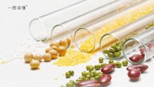 长寿饮食找到了！研究发现，这么吃，或将中国人寿命延长6年