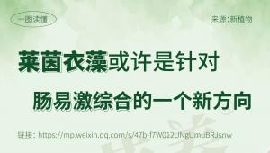 莱茵衣藻或许是针对肠易激综合的一个新方向