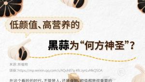 低颜值、高营养的黑蒜为“何方神圣”？