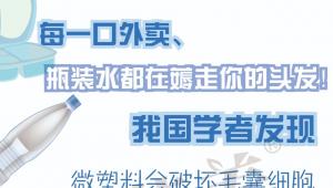 每一口外卖、瓶装水都在薅走你的头发！我国学者发现，微塑料会破坏毛囊细胞，导致脱发