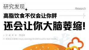 研究发现，高脂饮食不仅会让你胖，还会让你大脑萎缩