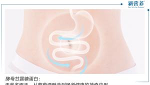 酵母甘露糖蛋白：天然多面手，从葡萄酒酿造到肠道健康的神奇应用